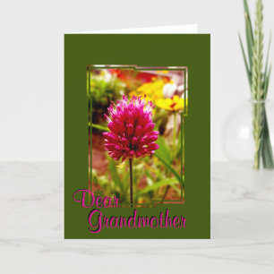 Rosa Allium Greeting Card 002 Karte