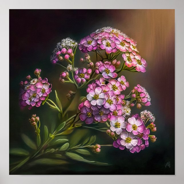 Rosa Alyssum Blume Art Print Poster (Vorne)