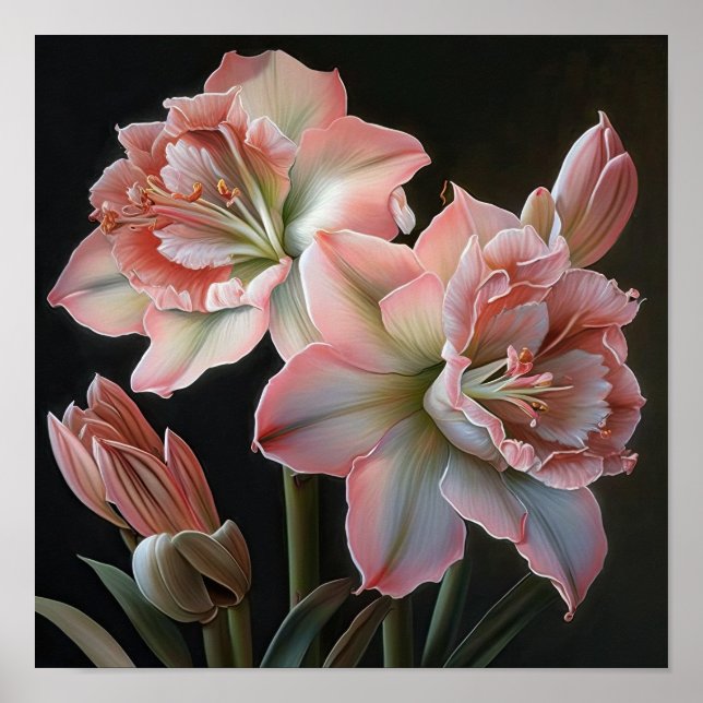 Rosa Amaryllis Blume Art Print Poster (Vorne)