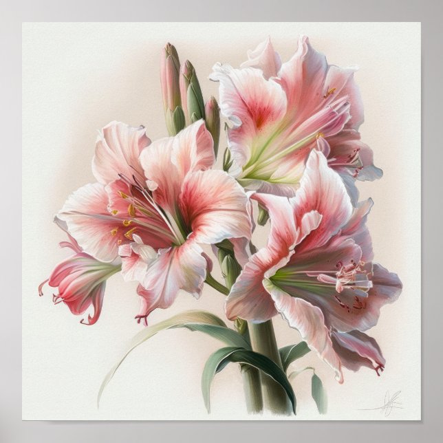 Rosa Amaryllis Blume Art Print Poster (Vorne)