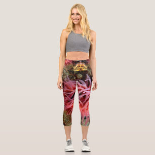 Rosa Anemon Hochwald Capri Leggings