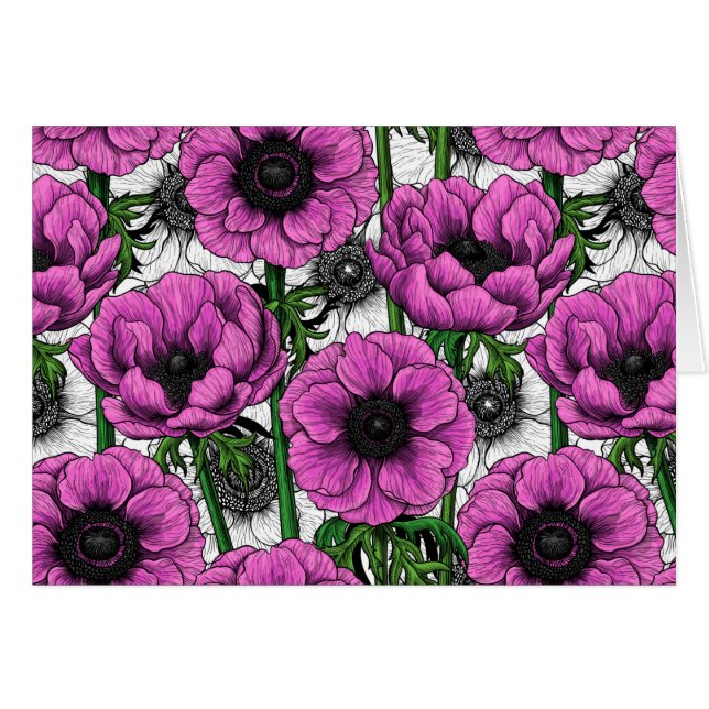 Rosa Anemone (Vorderseite (Horizontal))