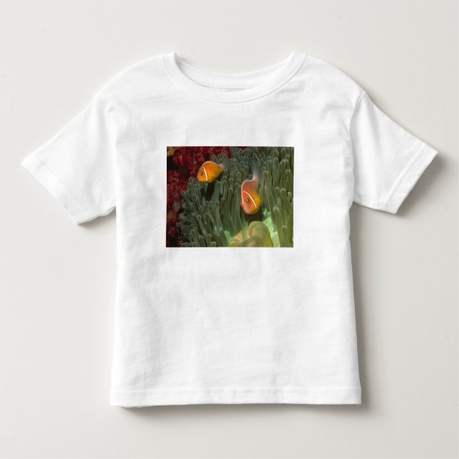 Rosa Anemonefish in der Magnificant Seeanemone Kleinkind T-shirt (Vorderseite)