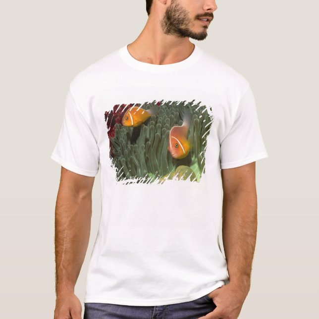 Rosa Anemonefish in der Magnificant Seeanemone T-Shirt (Vorderseite)
