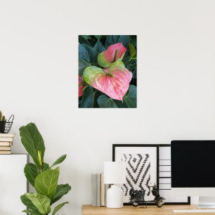 Rosa Anthurien-Blumen Florale Fotografie Poster