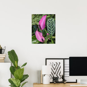 Rosa Anthurienblüten und Blattwerk Poster