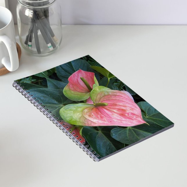 Rosa Anthurium Blume Notizblock (In Situ)