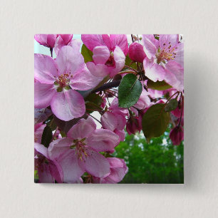 Rosa Apple-Blüten Button