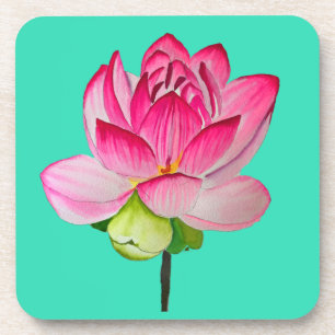 Rosa Aquarelllotus Blume Kunst Getränkeuntersetzer