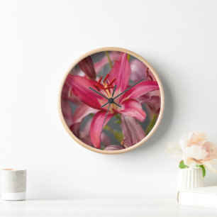 Rosa Asiatische Lilie, Blumenfotografie Uhr