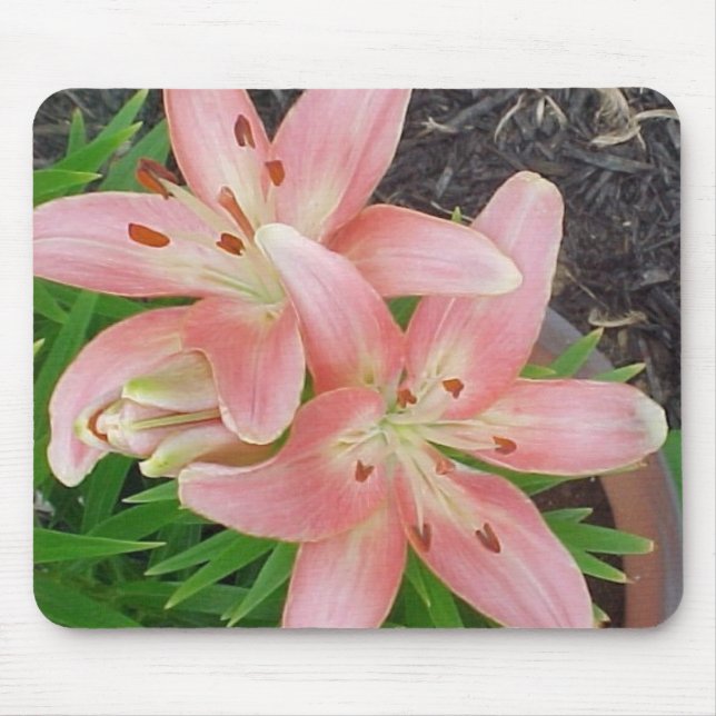 Rosa asiatische Lilien Mousepad (Vorne)