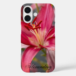 Rosa Asiatische Lily - Elegante Blumenfotografie iPhone 16 Hülle