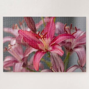 Rosa Asiatische Lily - Elegante Blumenfotografie Puzzle