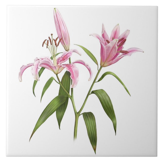 Rosa Asiatischer Stargazer Lily Botanische Kunst Fliese (Vorderseite)