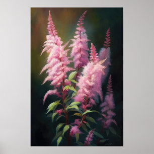 Rosa Astilbe Blume Art Print Poster