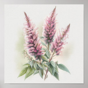 Rosa Astilbe Blume Art Print Poster