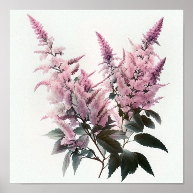 Rosa Astilbe Blume Art Print Poster (Vorne)