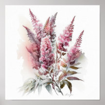 Rosa Astilbe Blume Art Print Poster