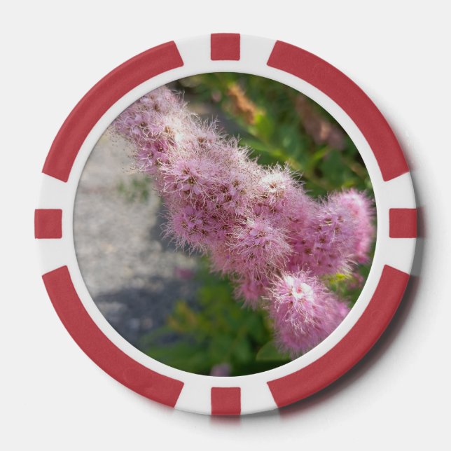 Rosa Astilbe-Blumen-Blumen-Pokerchips für den Gart Pokerchips (Vorderseite)