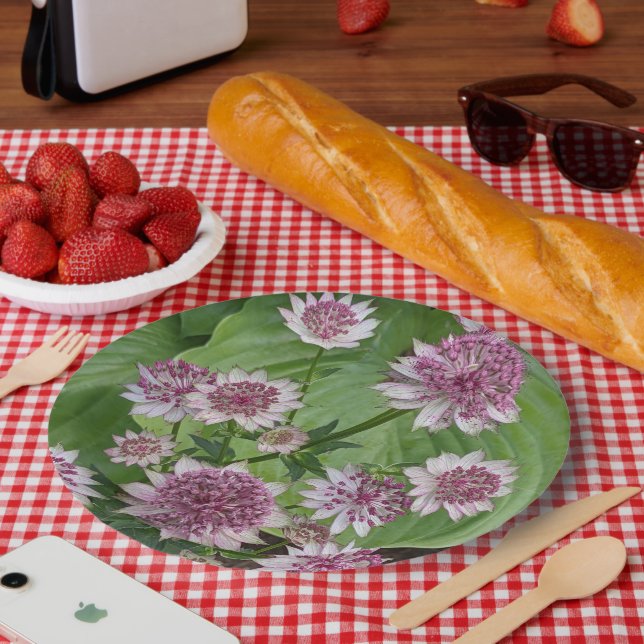 Rosa Astrantia Blumen Pappteller (Picknick)