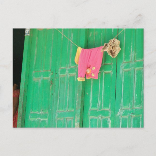 Rosa auf Grün in Kathmandu Postkarte (Vorderseite)