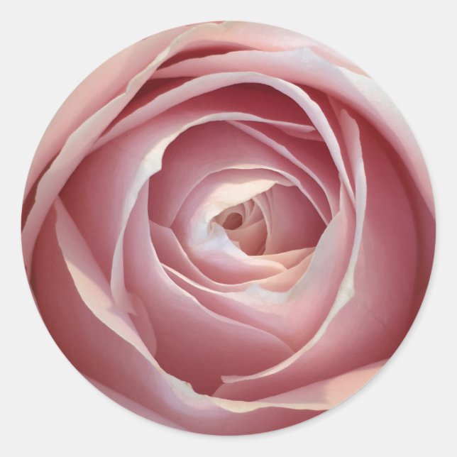 Rosa Aufkleber (Vorderseite)