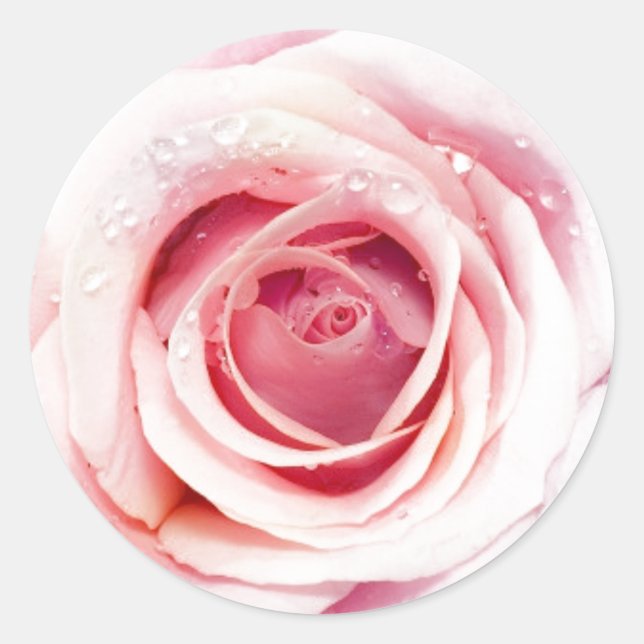 Rosa Aufkleber (Vorderseite)