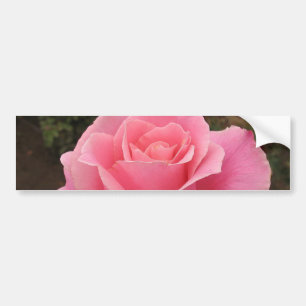 Rosa Autoaufkleber