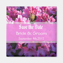 Rosa Azalea blühende Buschhochzeit retten das Datu Magnet