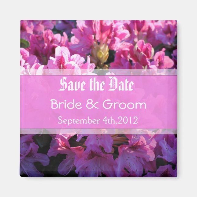 Rosa Azalea blühende Buschhochzeit retten das Datu Magnet (Vorne)