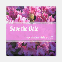 Rosa Azalea blühende Buschhochzeit retten das Datu Magnet