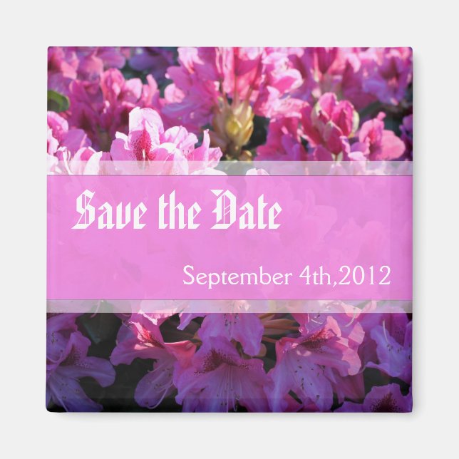 Rosa Azalea blühende Buschhochzeit retten das Datu Magnet (Vorne)