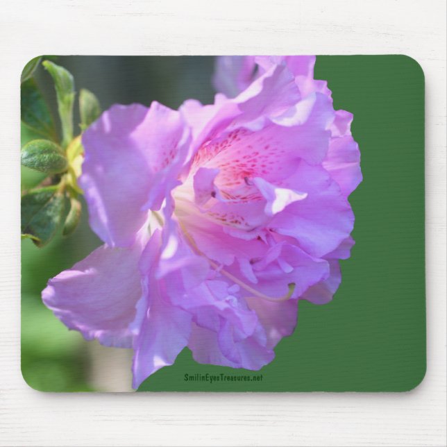 Rosa Azalea Blume Foto Mousepad (Vorne)