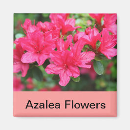 Rosa Azalea-Blume Magnet