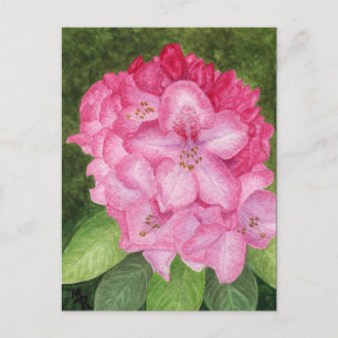 Rosa Azalea Kunst, Dichtung Postkarte
