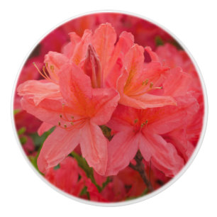 Rosa Azalea Rhododendron Blume Keramikknauf