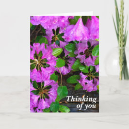 Rosa Azaleen Blume, rustikales Hinterhofholz Karte