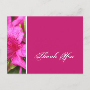 Rosa Azaleenblüten Danke Postkarten