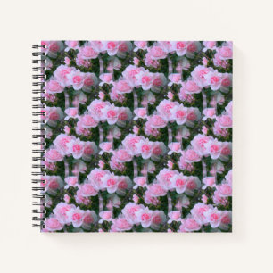 Rosa Babys..... Notizbuch