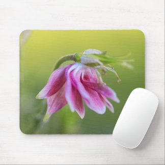 Rosa Ballerina - Kolumbin in Mousepad