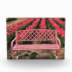 Rosa Bank mit rosa Tulpen Fotoblock