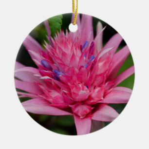 Rosa Beauty Keramikornament