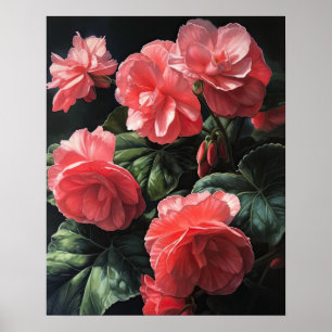 Rosa Begonia Blume Art Print Poster