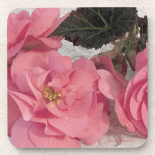 Rosa Begonia-Blume Untersetzer