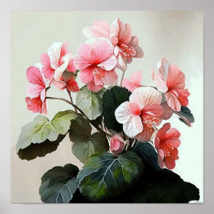 Rosa Begonias Blume Art Print Poster