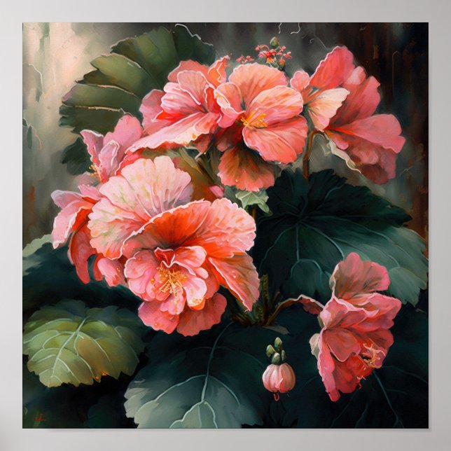 Rosa Begonias Blume Art Print Poster (Vorne)