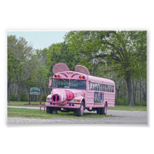 Rosa Ben Wheeler, Texas, Hogfest-Bus Fotodruck