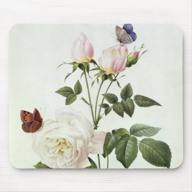Rosa: Bengale das Hymenes, von 'Les Rosen Mousepad (Vorne)