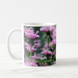 Rosa Bienen-Balsam, Monarda Kaffeetasse