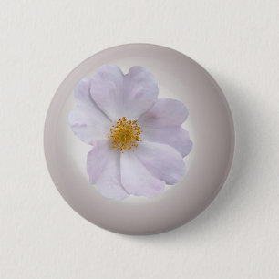 rosa bis lila button